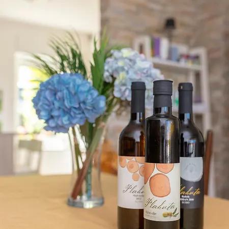 Mojca - Quiet With Seaview